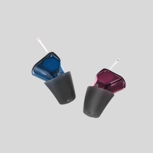 Signia Silk C&G 5IX Rechargeable Hearing Aid